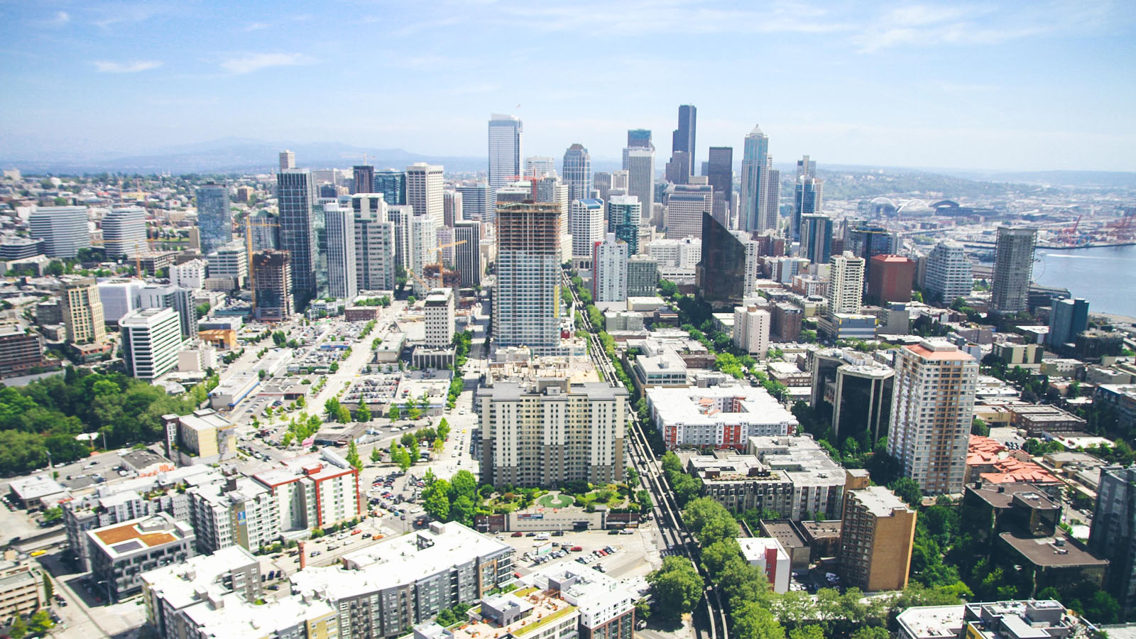 Immigration Agent in New Zealand